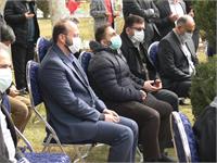 رسانه جدید