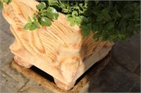 اردوی راهیان پیشرفت