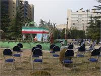 رسانه جدید