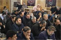 عکس های منتخب 8