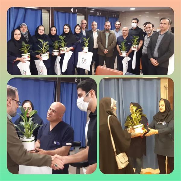 تقدیر از پرستاران