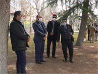 رسانه جدید